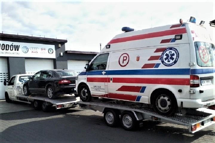 Autotransporter Transport